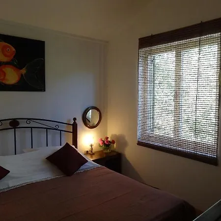 Yellow House Apartment